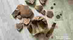 Суд оштрафував чорного археолога, який викопав біля Ужгорода бронзові сокири кельтів