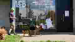 Банк крові для котів розпочав роботу у Львові