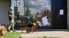 Банк крові для котів розпочав роботу у Львові