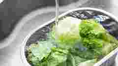 Його ще можна врятувати: як оживити зів'ялий салат за 15 хвилин