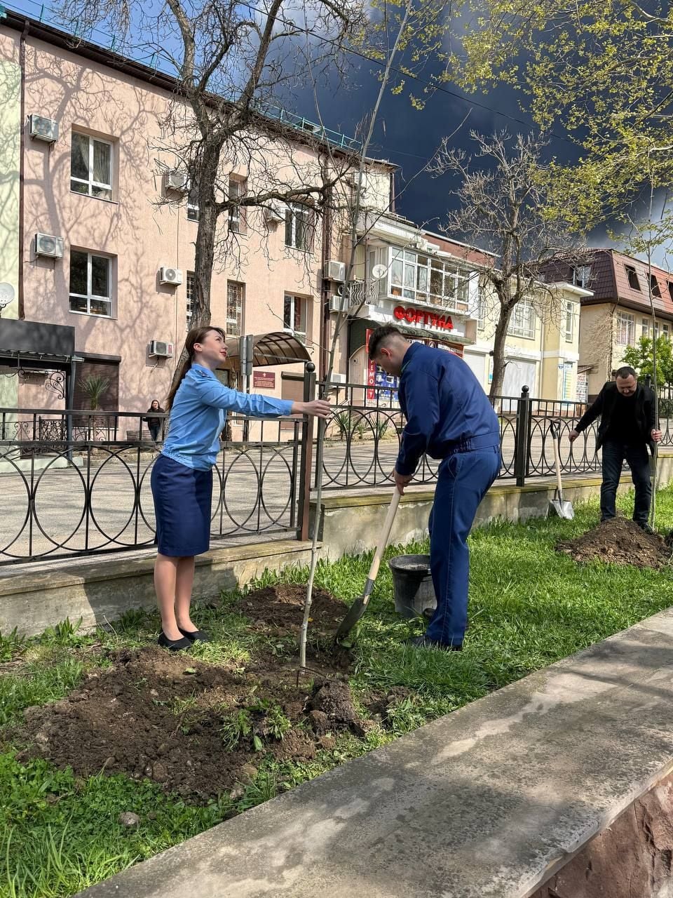 Фото прокуратури Краснодарського краю, висадка дерев у Туапсе 