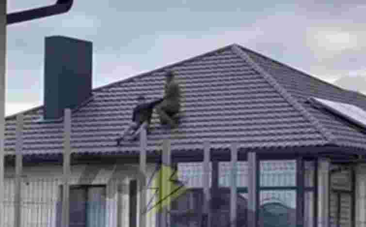 Під час бійки працівник ТЦК разом з військовозобов'язаним впали з даху будинку на Волині