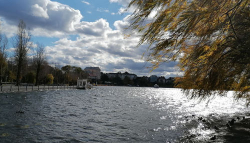 Синоптики попередили про сильний вітер і заморозки на Тернопільщині