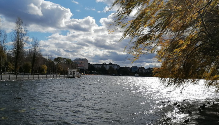 Синоптики попередили про сильний вітер і заморозки на Тернопільщині