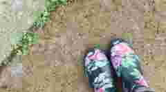 Гербіциди не потрібні: як позбутися бур’янів уздовж паркану домашніми методами