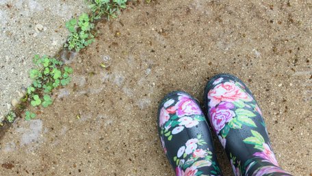 Гербіциди не потрібні: як позбутися бур’янів уздовж паркану домашніми методами