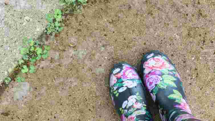 Гербіциди не потрібні: як позбутися бур’янів уздовж паркану домашніми методами