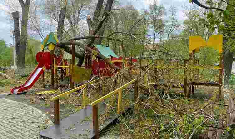 На Буковині буревій повалив дерева на дитячий майданчик, двоє травмованих