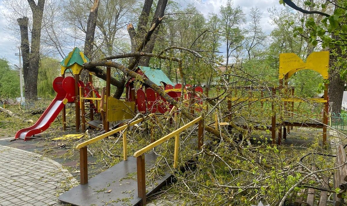 На Буковині буревій повалив дерева на дитячий майданчик, двоє травмованих