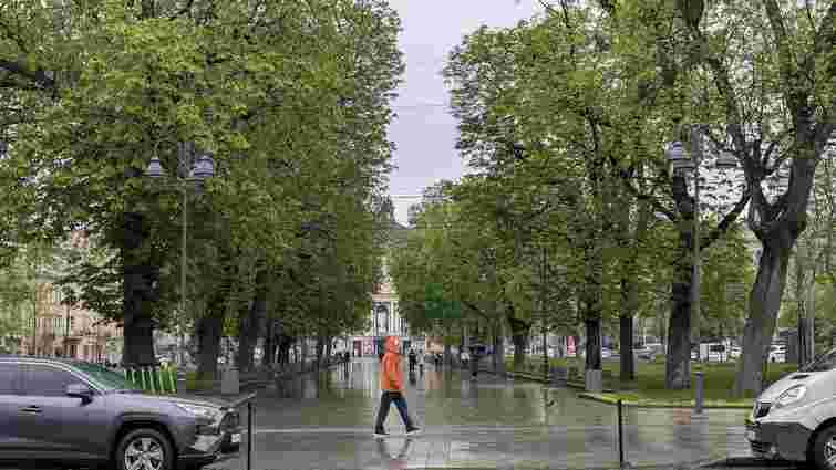 Мокрий сніг одразу після потепління: яку погоду очікувати на Львівщині на вихідних