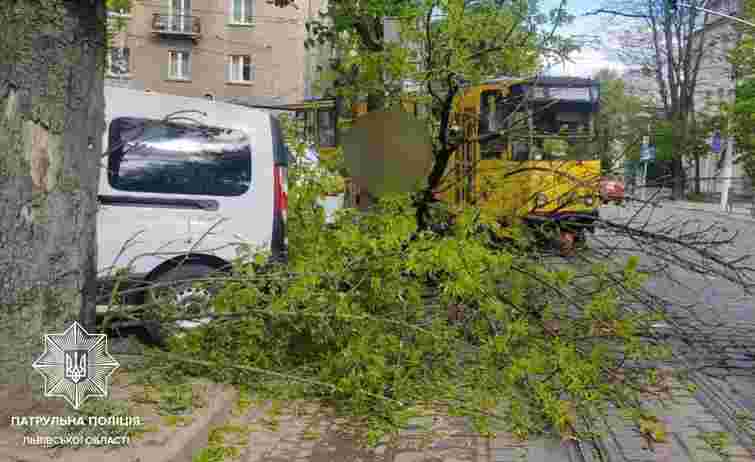 Через негоду частина Львівщини залишилась без електроенергії 