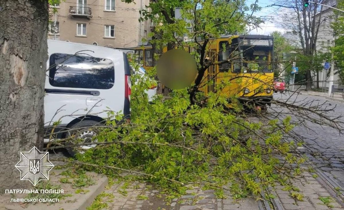 Через негоду частина Львівщини залишилась без електроенергії 