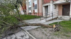 Сильний буревій у Львові повалив дерева і спричинив ускладнення руху транспорту