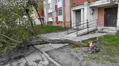 Сильний буревій у Львові повалив дерева і спричинив ускладнення руху транспорту