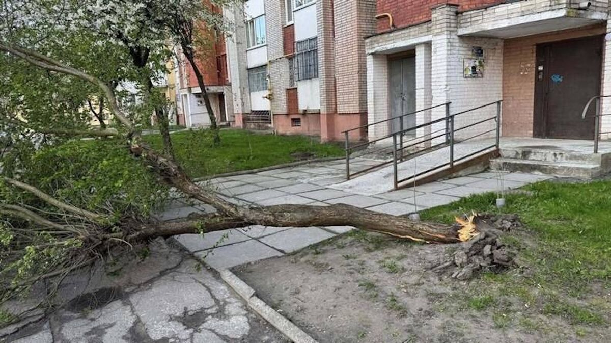Сильний буревій у Львові повалив дерева і спричинив ускладнення руху транспорту