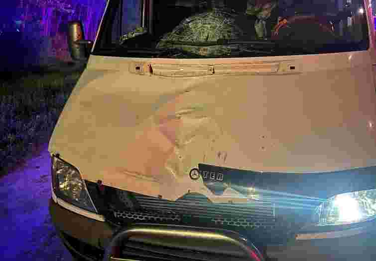 На Буковині водій мікроавтобуса на смерть збив 36-річну жінку