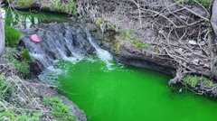 Львівські екологи пояснили можливі причини яскравого забарвлення води у річці Зубра