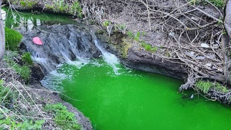 Львівські екологи пояснили можливі причини яскравого забарвлення води у річці Зубра