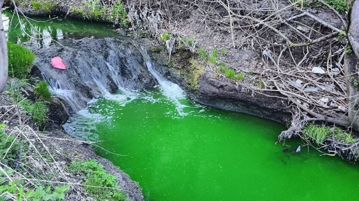 Львівські екологи пояснили можливі причини яскравого забарвлення води у річці Зубра