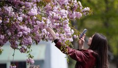 Ховати куртки в шафу чи ще ні: синоптики розповіли, якою буде погода у травні