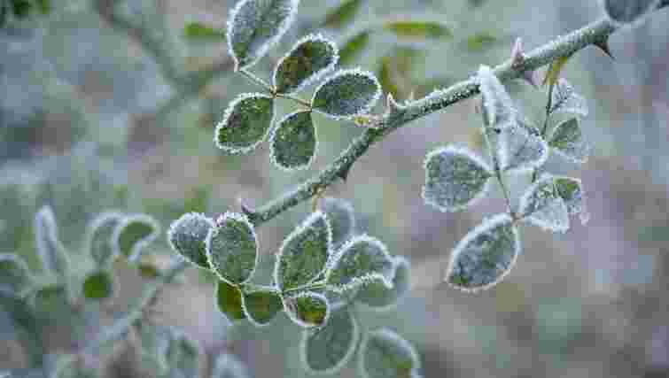 У Львові третю ніч поспіль фіксують рекордно низьку температуру повітря