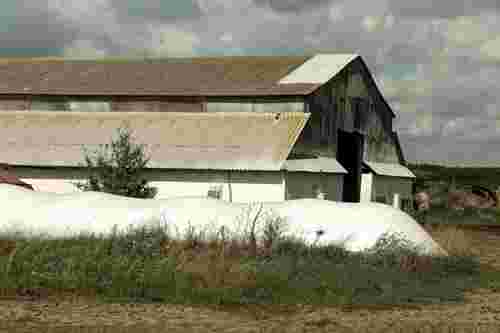 Директора ферми з Буковини судитимуть за загибель працівника в підземному каналі