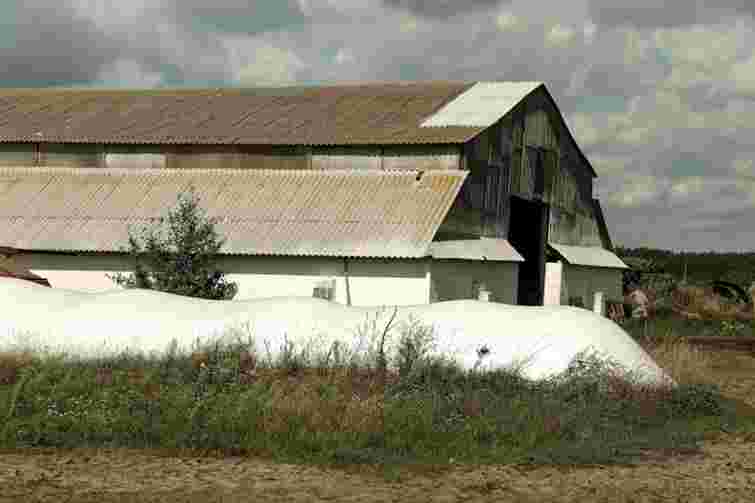 Директора ферми з Буковини судитимуть за загибель працівника в підземному каналі