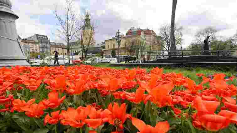 Потепління до +20°С чи знову заморозки: якою буде погода у травні на Львівщині