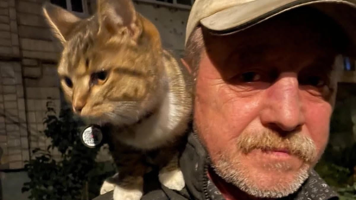 Звичайний святий