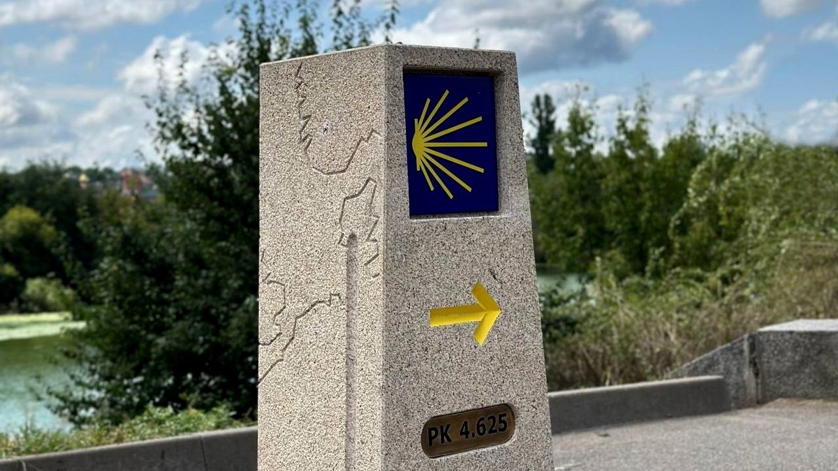 Мушлі пілігримів і княжі міста: Шлях святого Якова прокладуть Галичиною