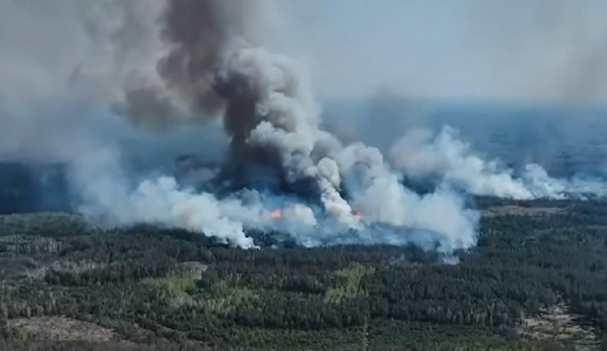 Російські обстріли спричинили масштабні лісові пожежі на Чернігівщині