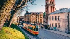 На одній із вулиць у центрі Львова заборонять паркування