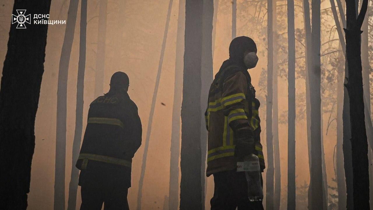 Пожежа у зоні відчуження в Київській області