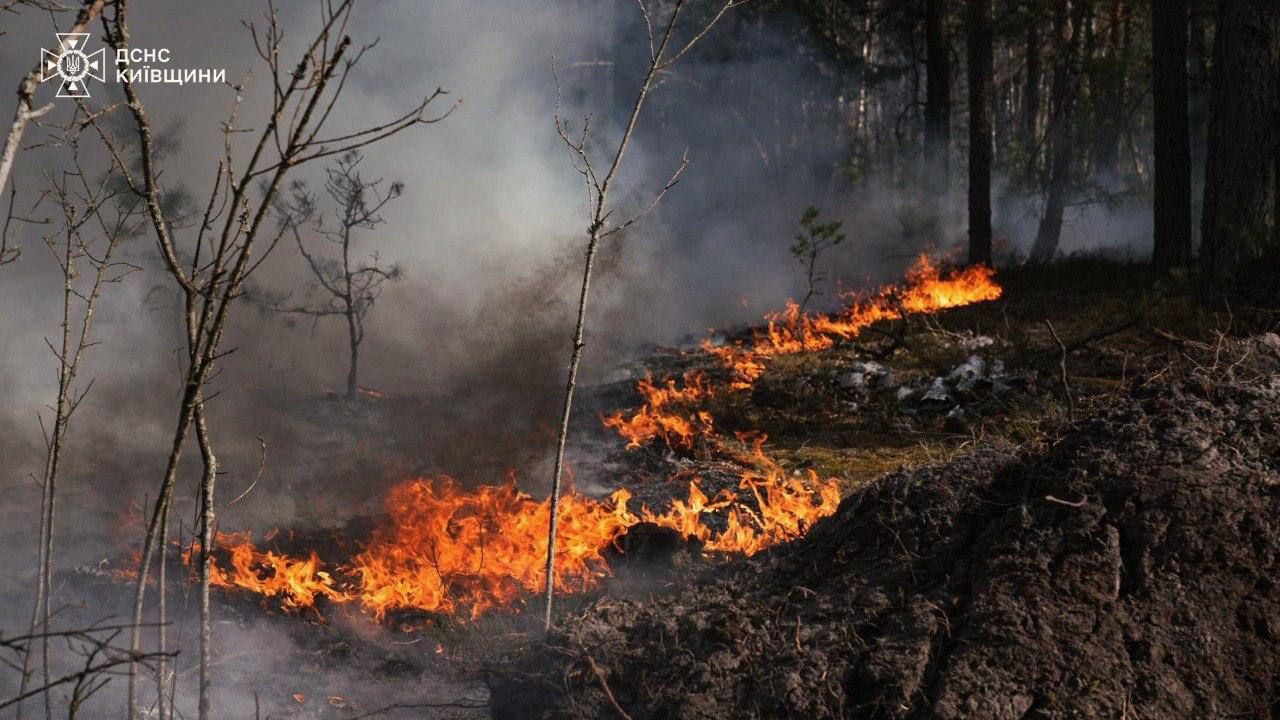 Пожежа у зоні відчуження в Київській області
