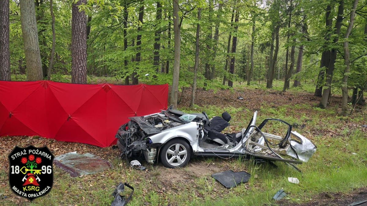Двоє молодих українців загинули в автомобільній аварії у Польщі
