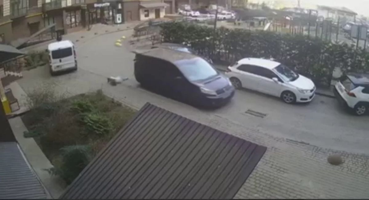 Суд оштрафував водія буса ТЦК, який збив вагітну жінку в Луцьку