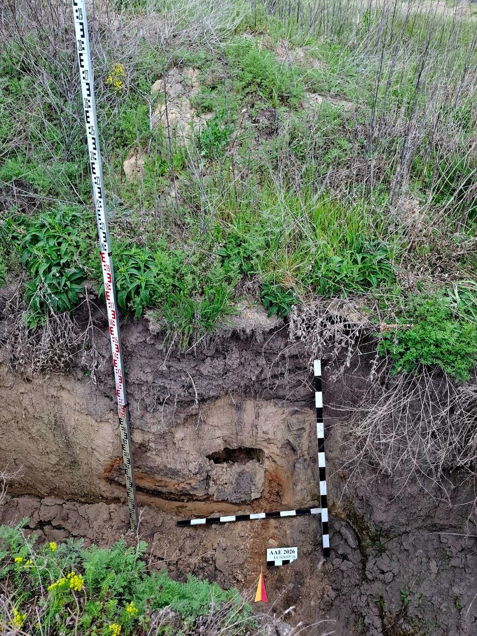 Давньоруська піч, пошкоджена окопом