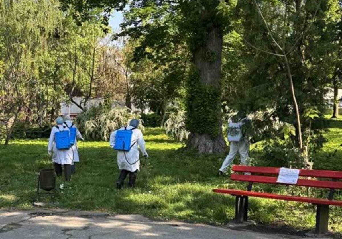 Парки Тернополя оброблятимуть спецрозчинами проти кліщів