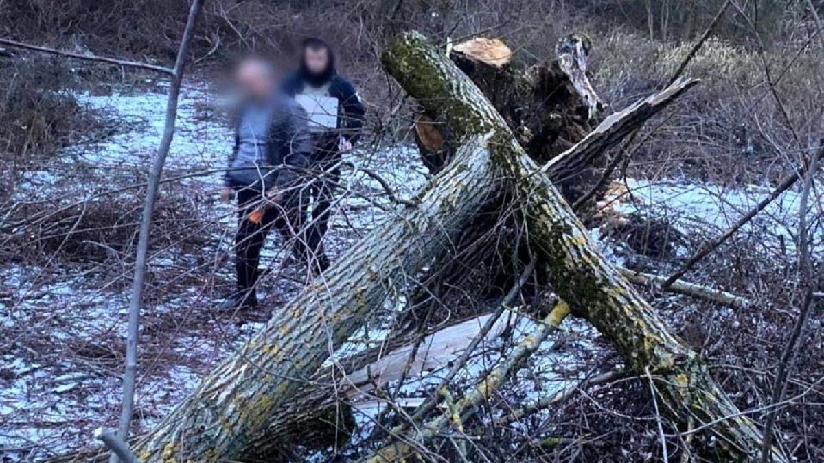 Закарпатець уник покарання за вбивство з необережності 8-річної дівчинки
