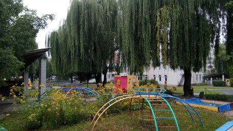 Причиною сальмонельозу в дитячому садочку Львова стала погано приготована курятина