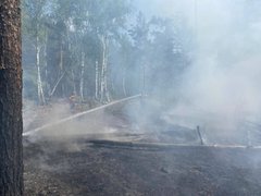 У Чорнобильській зоні через дронову атаку знову спалахнули пожежі