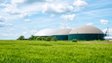 ОККО з партнерами планує збудувати біогазовий завод на Тернопільщині
