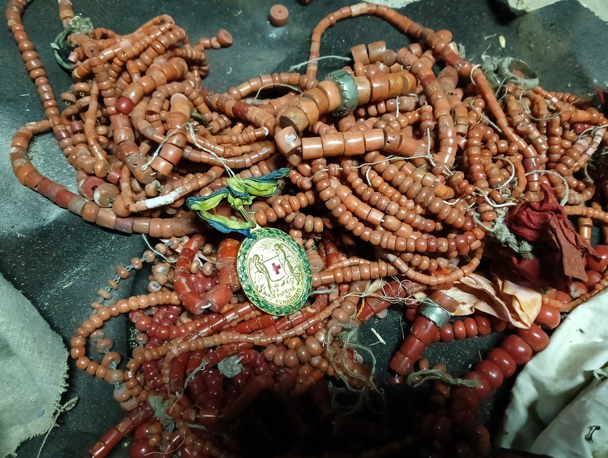 Коралі з Індійського моря