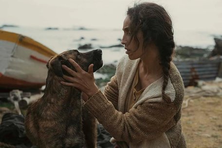 У Каннах вручили Palm Dog за найкращу собачу роль