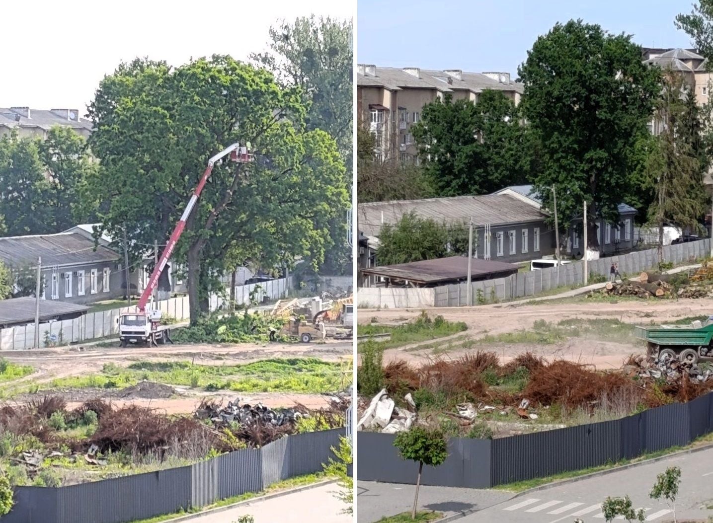 Зрізане дерево на вул. Нацгвардії в Івано-Франківську. Фото Надії Ребристої