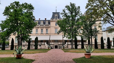 Втрачений шарм французького парку палацу Потоцьких у Львові