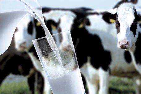 Ціни на молоко в Україні впали нижче собівартості 