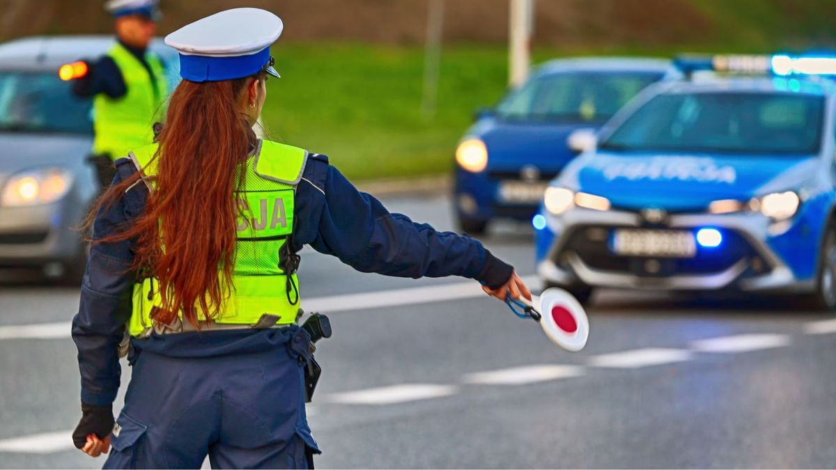 Українські водії масово уникають штрафів у Польщі через прогалину в законодавстві