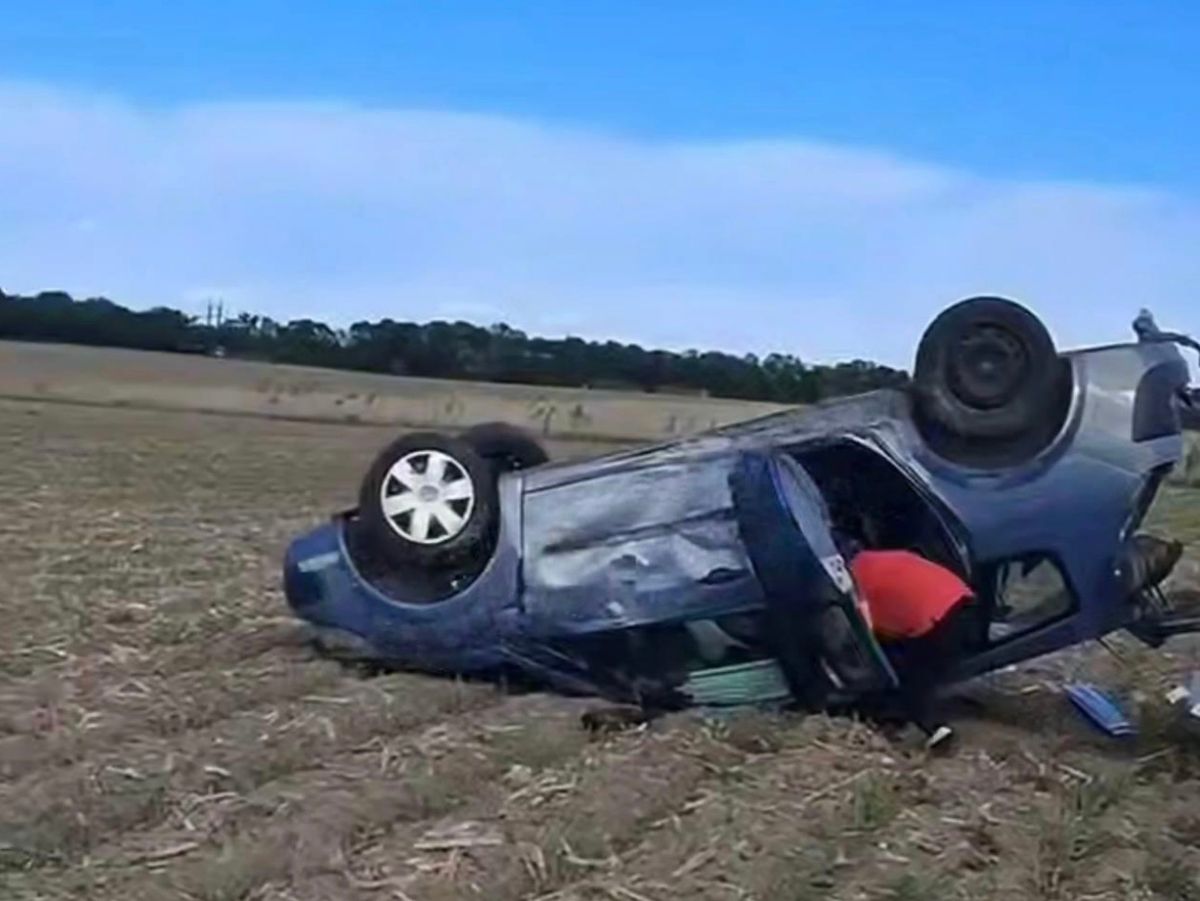 Водій Renault перекинувся у кювет під час спроби втекти від ТЦК на Волині