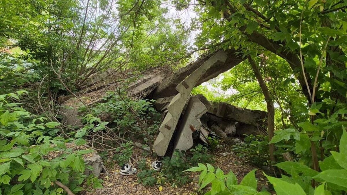У Львові розчистять стихійне будівельне сміттєзвалище біля Голосківського кладовища